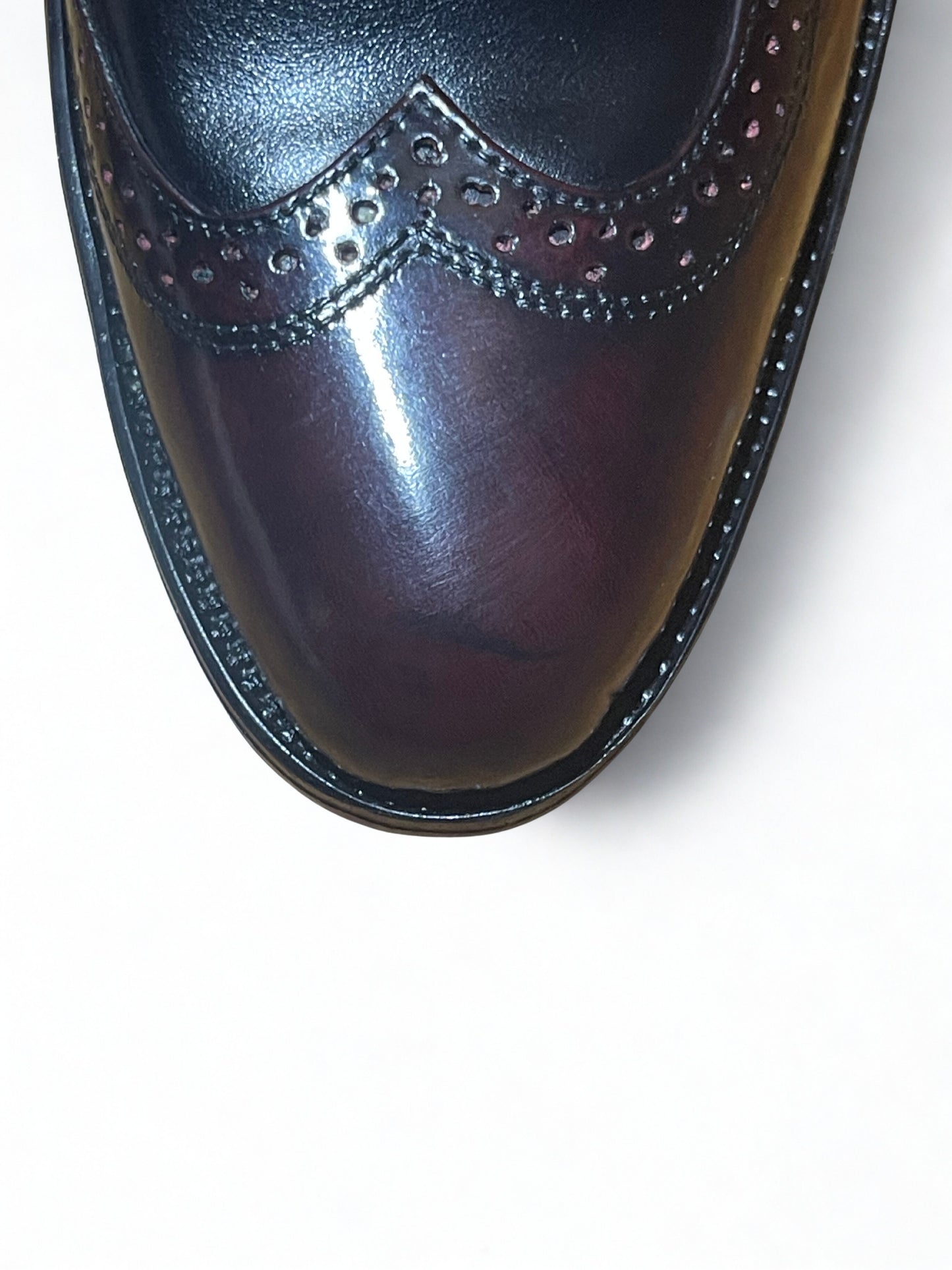 The Regent Wingtip